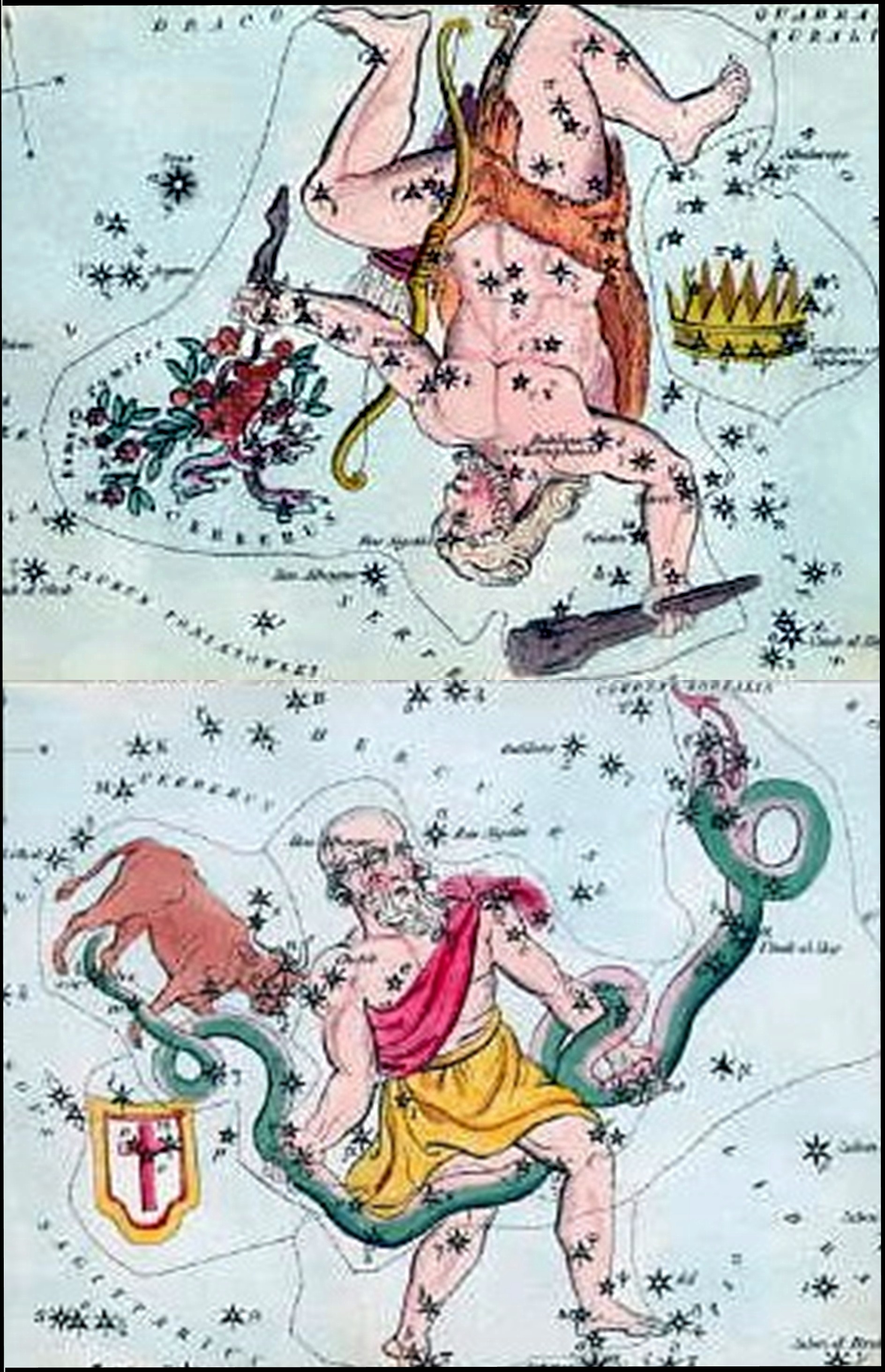 Hercules above Ophiuchus